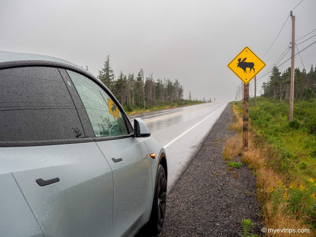 Tesla Model Y parked next to a Moose sign on the Cabot Trail