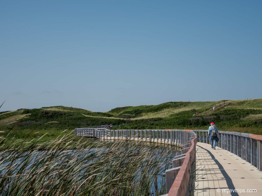 Greenwich Dunes trail boardwalk