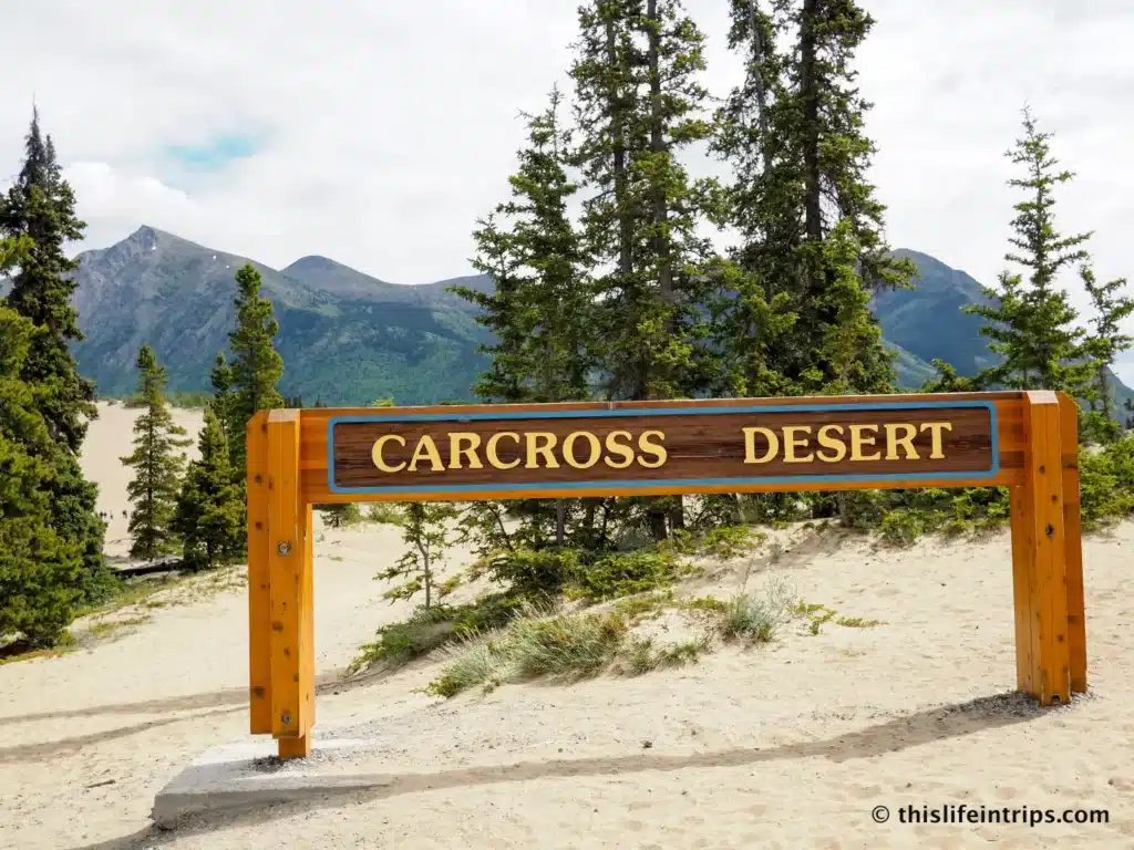 Carcross Desert sign
