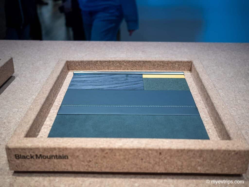 Rivian R2 Black Mountain color swatch