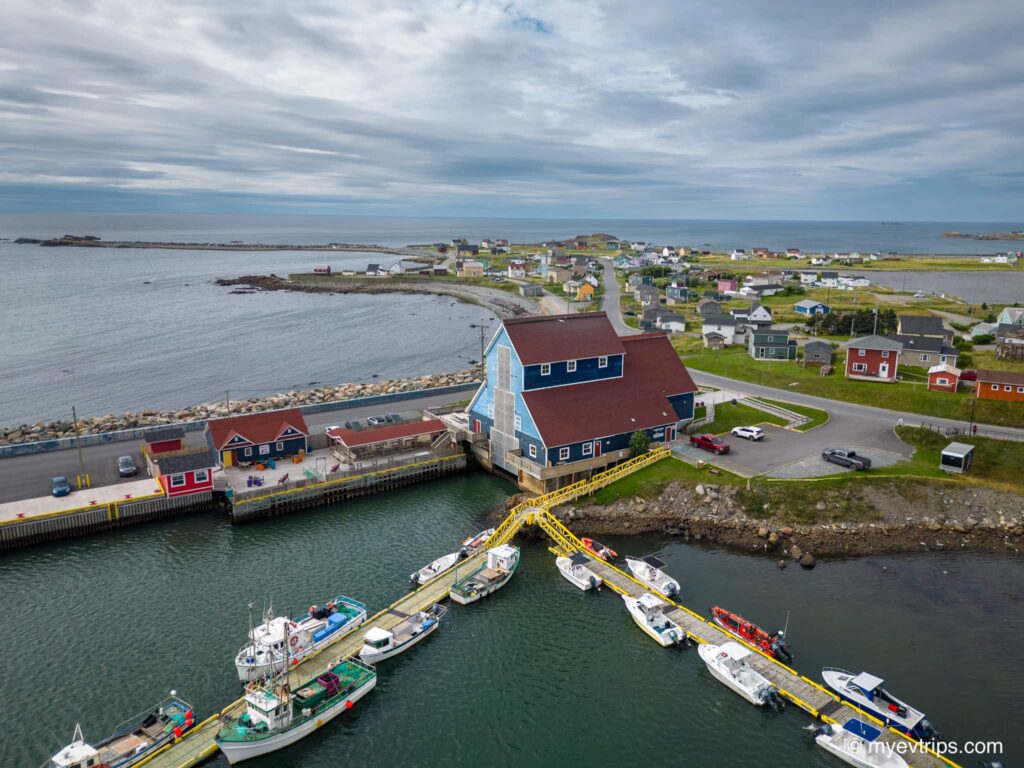 Bonavista harbour from above