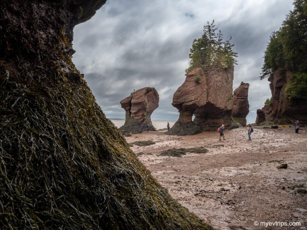 People standing next to Hopewell Rocks at low tide in New Brunswick