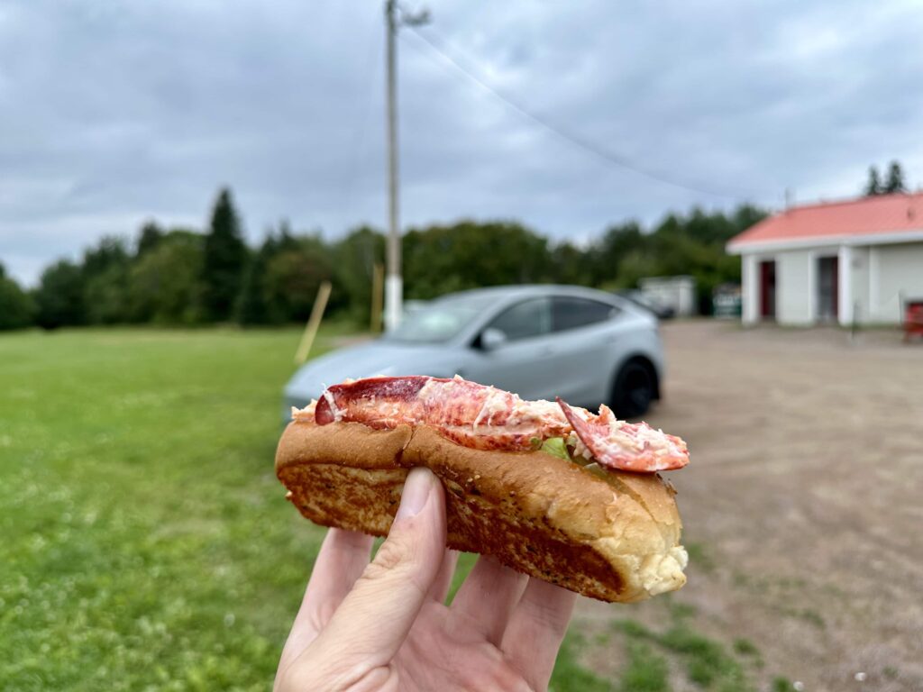 hand holding a Lobster roll in Shediac New Brunswick