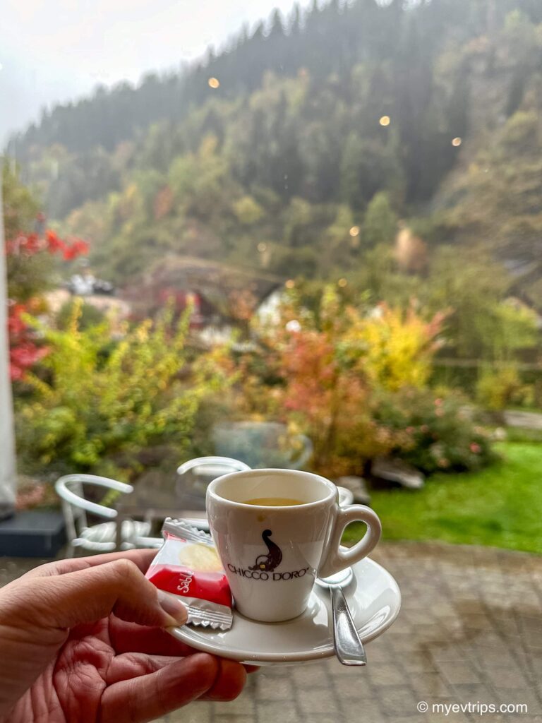 Hand holding up espresso cup in front of a garden while on a Swiss alps road trip