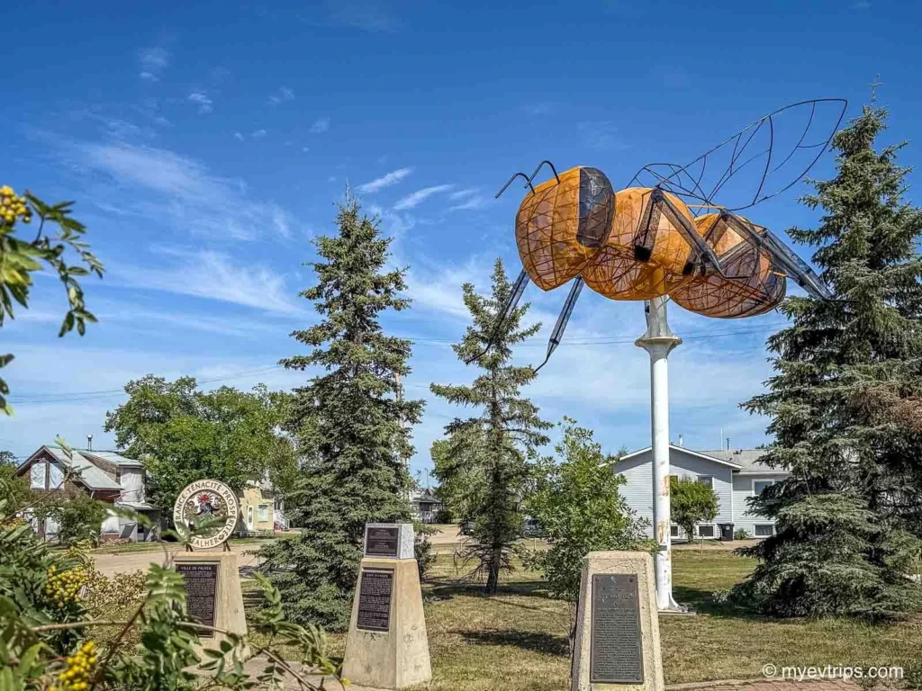 World's largest bee in Falher Alberta