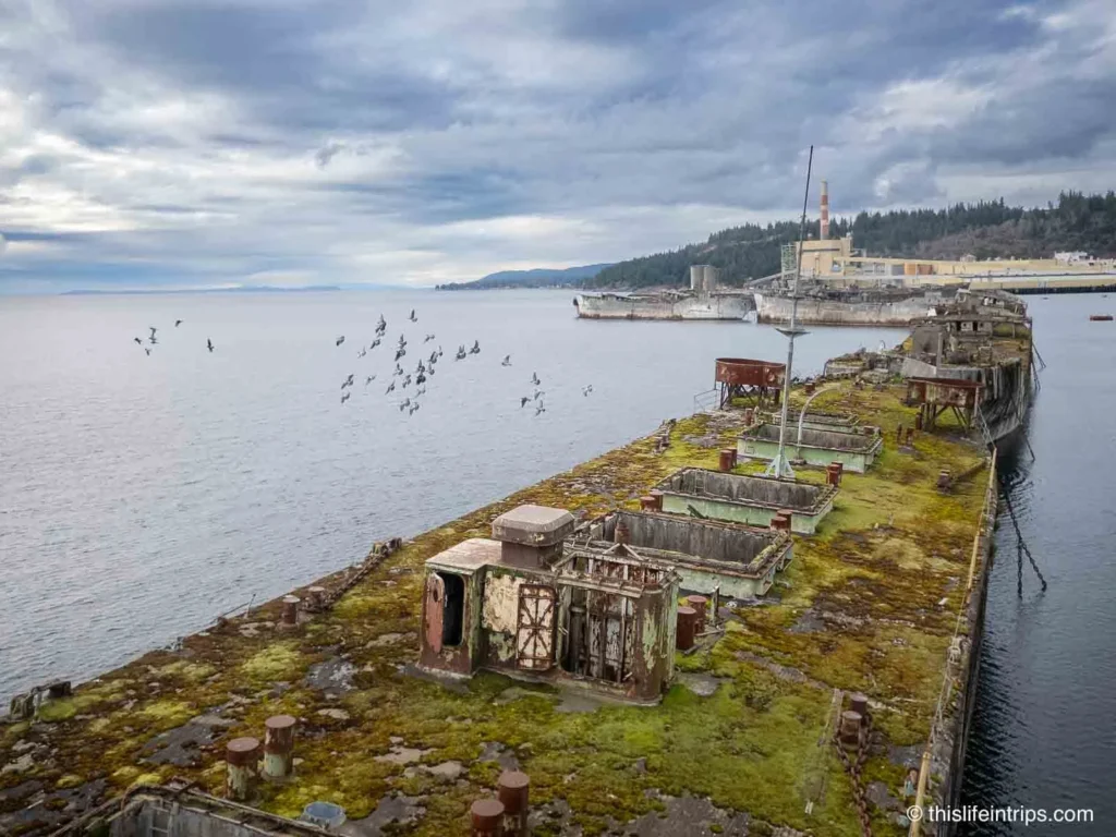 The Hulks, Powell River BC