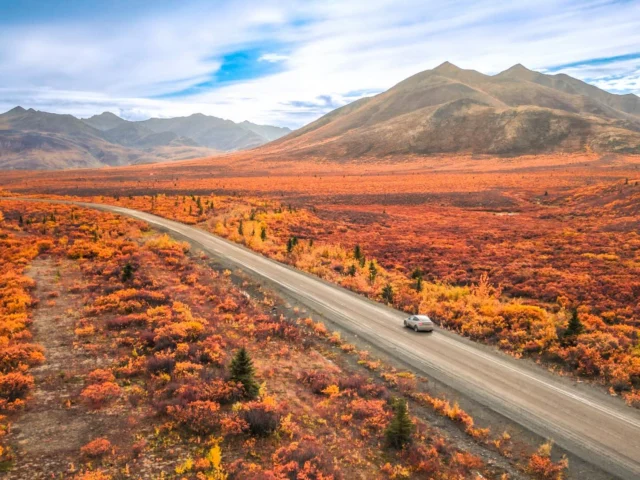 A bird’s-eye view of the Dempster — wild, remote, and fully electric.

See how this view felt from behind the wheel → myevtrips.com

#DempsterDrone #EVAdventure #ElectricExplorers #RoadTripCanada #YukonToTheArctic #MYEVTrips
#TravelYukon @travelyukon